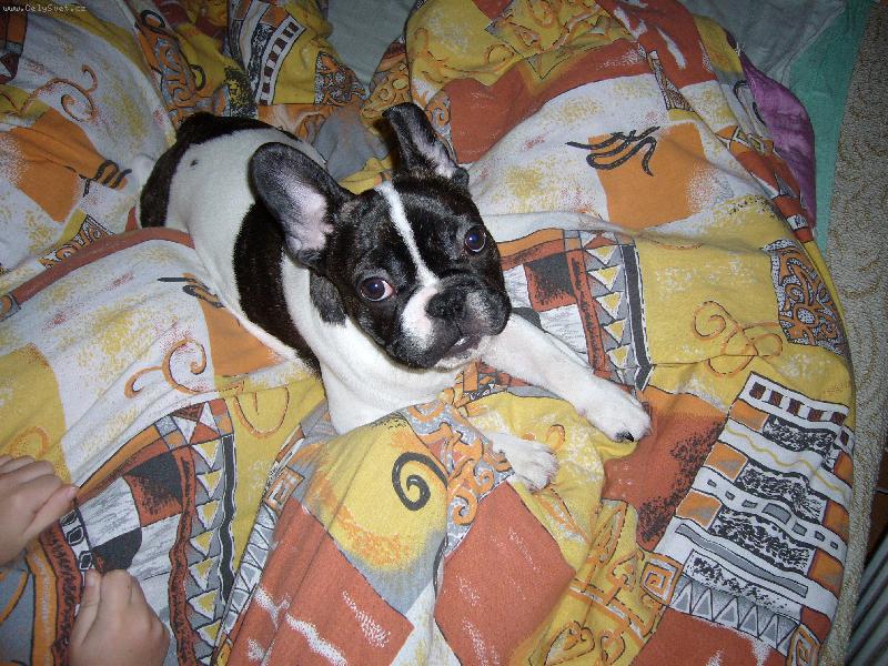 Foto: u� je r�no?