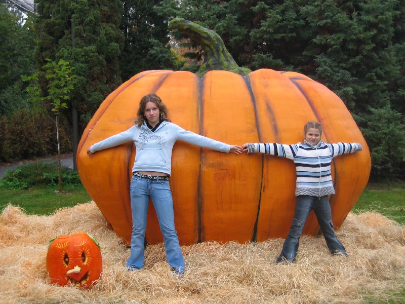 Foto: maxid�n�-v ZOO