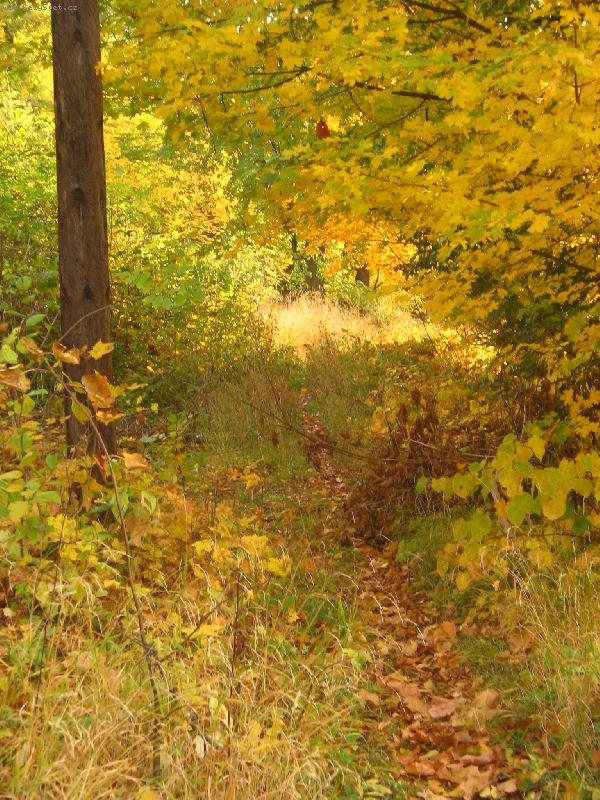 Foto: Barevn� podzim