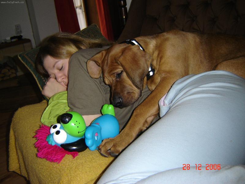 Foto: Po dobr�m ob�d� mal� �lof��ek neu�kod�