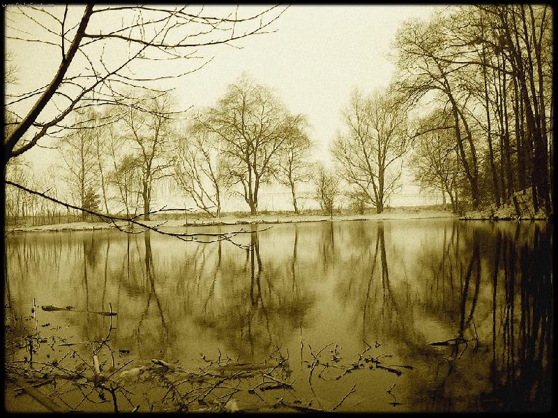 Foto: klidn� z�kout�