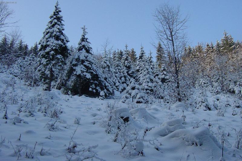 Foto: zima-proch�zka p��rodou