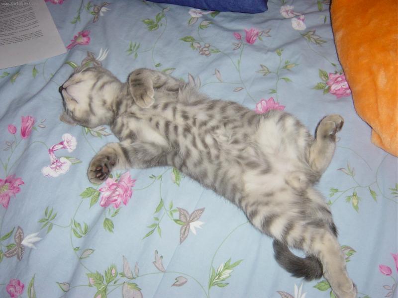 Foto: Rozcvi�ka!!!-je�t� nohu prot�hnout....