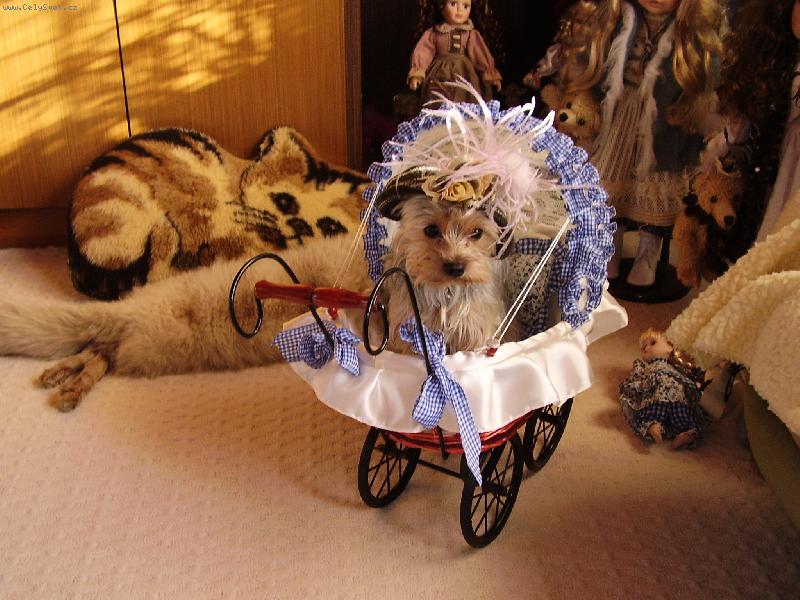 Foto: Prost� k se�r�n�...