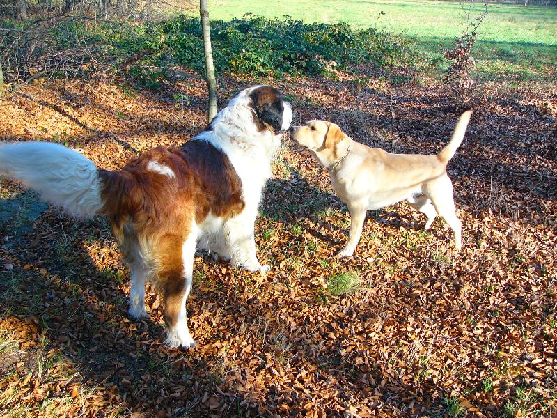 Foto: Hmm ta byla ...-Iggy a Anry