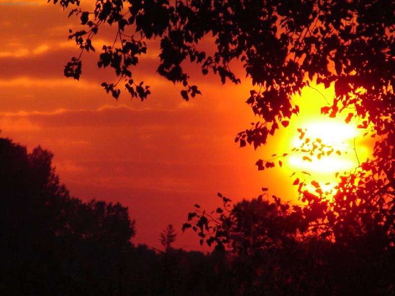 Foto: z�pad slunce