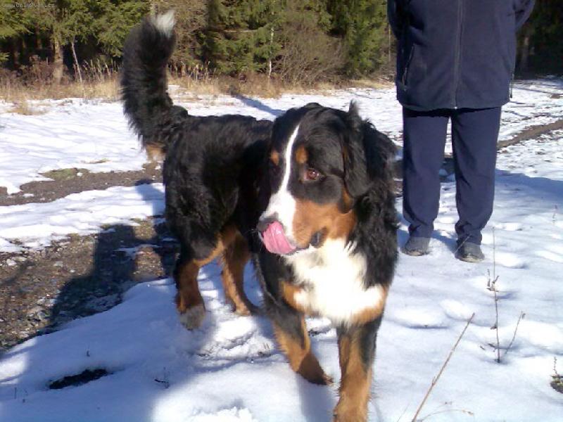 Foto: M�am, to byla ale dobrota