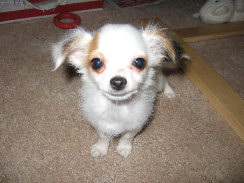 Foto: Mat�sek-KUK......