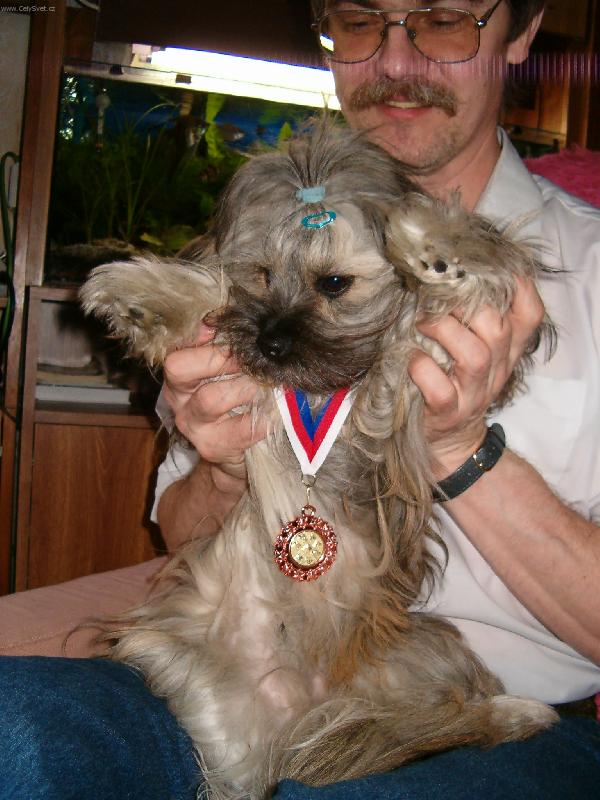 Foto: N� v�t�z-K��enec shitzu