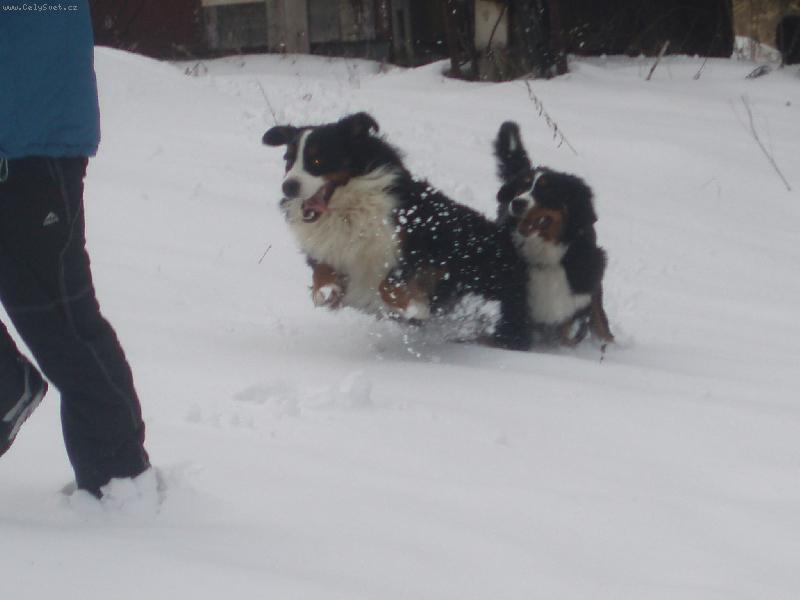 Foto: zima-hur���� sneh