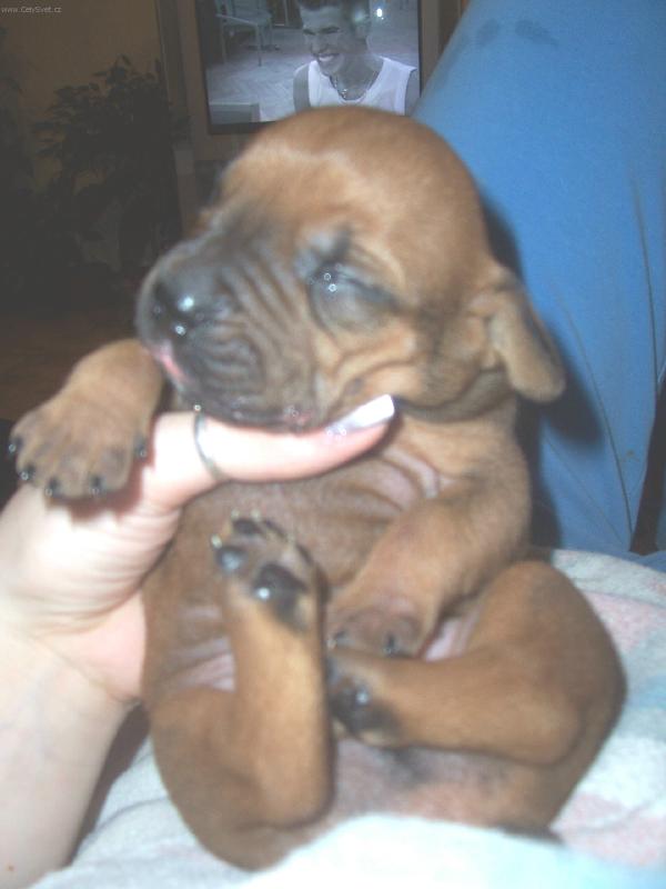 Foto: neru�it,spik�m:o)