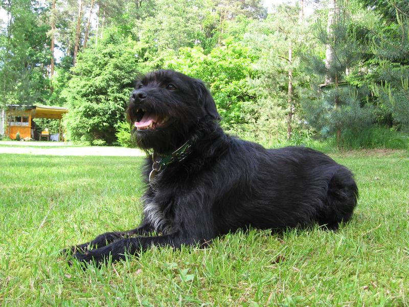 Foto: N� �ert�k