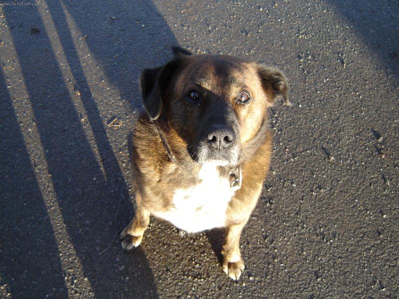 Foto: Maximus Velik�-Tak vysoko nedosko��m