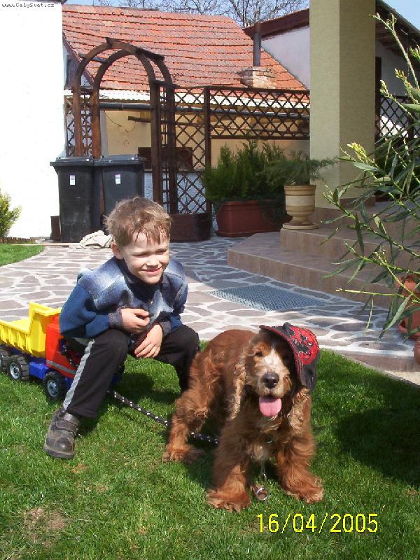 Foto: Ch�va v akci!!!-Kdo koho hl�d�?? I pes si m��e n�kdy p��t b�t Spiderman.
