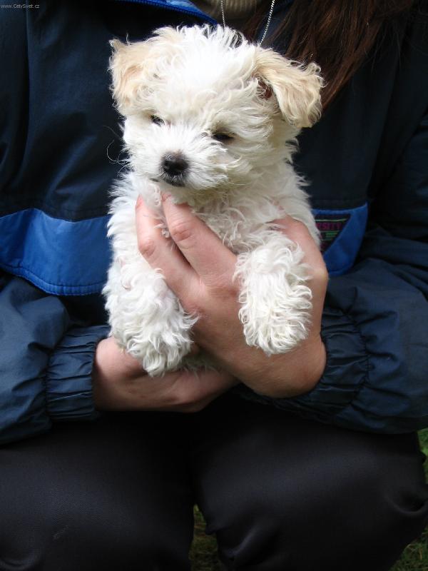 Foto: Keli�ka-U� bych spala