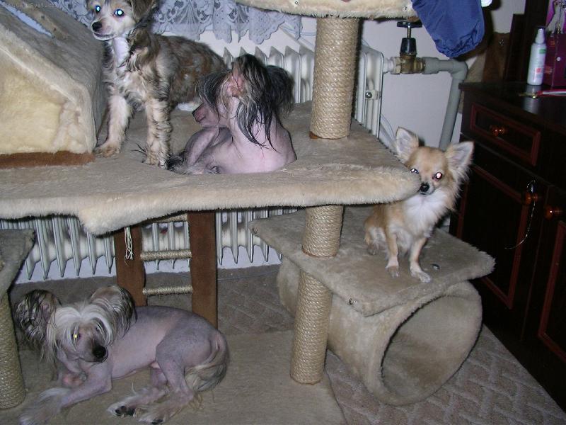 Foto: U� jsme v�ichni?