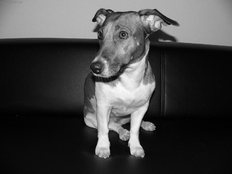 Foto: Jackie-Black & White Retro