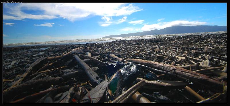 Foto: Pob�e�� Nov�ho Z�landu 2006