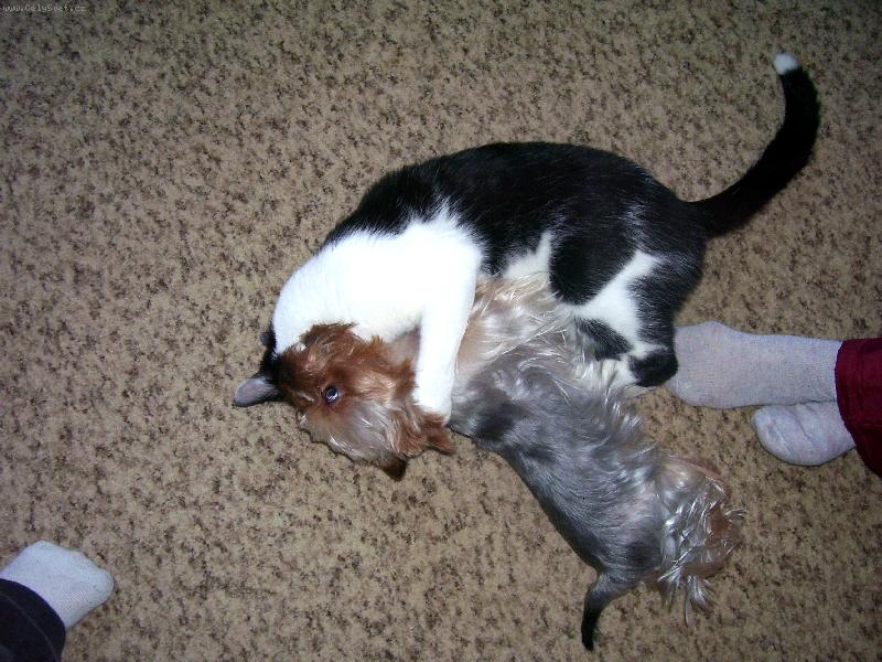 Foto: Milostn� objet�-N�co mi ale ��k�, �e nem��eme b�t spolu...