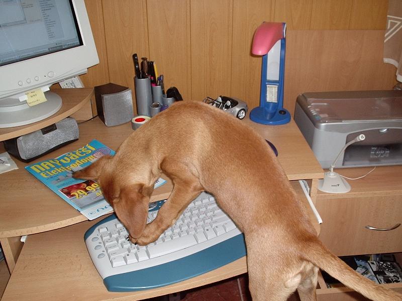 Foto: maly programator