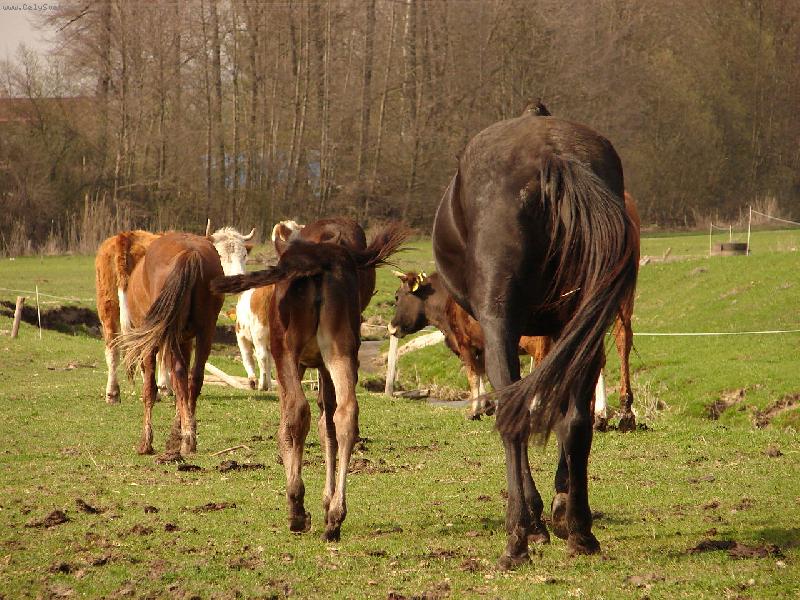 Foto: spole�n� t�hnem sv�tem...