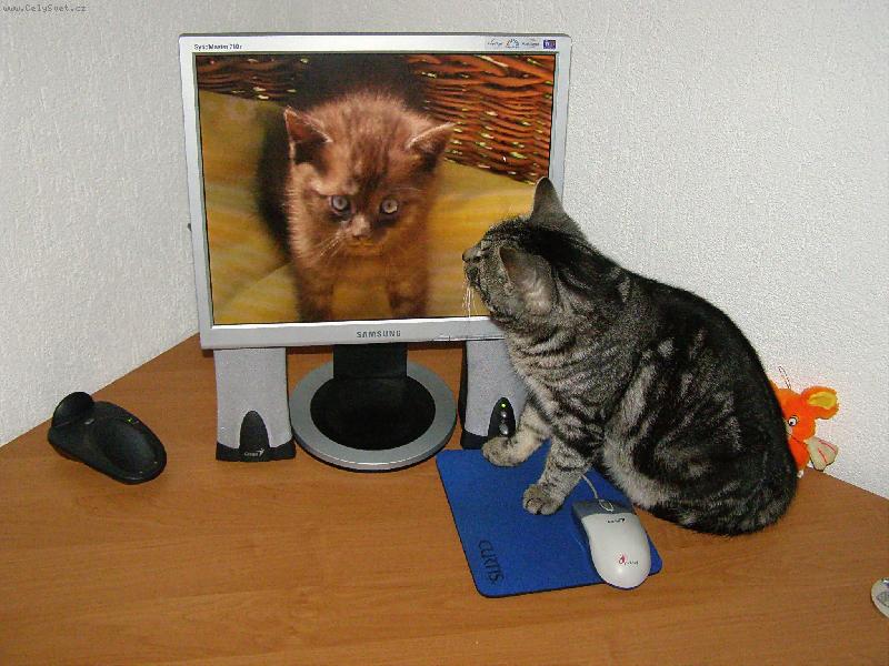 Foto: Takhle �e jsem vypadal j�?