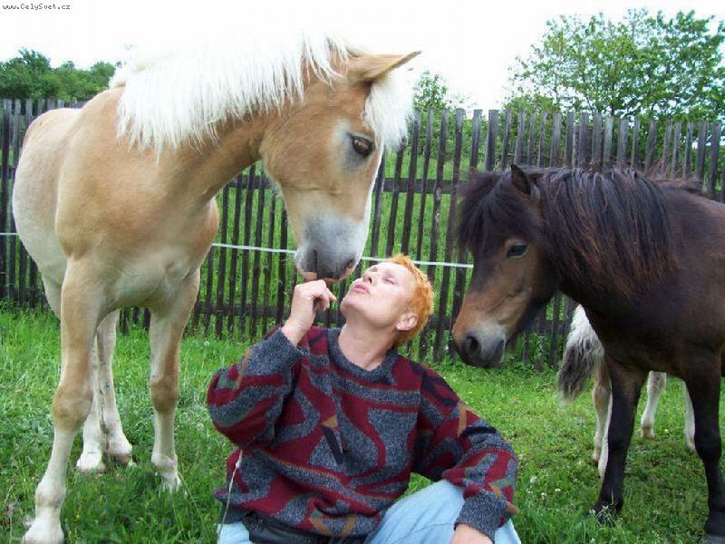 Foto: Ko�sk� l�ska