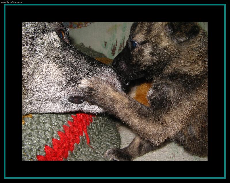 Foto: Dolce s maminkou