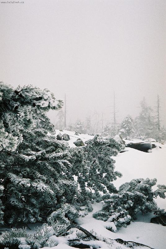 Foto: Kru�n� hory v Sasku