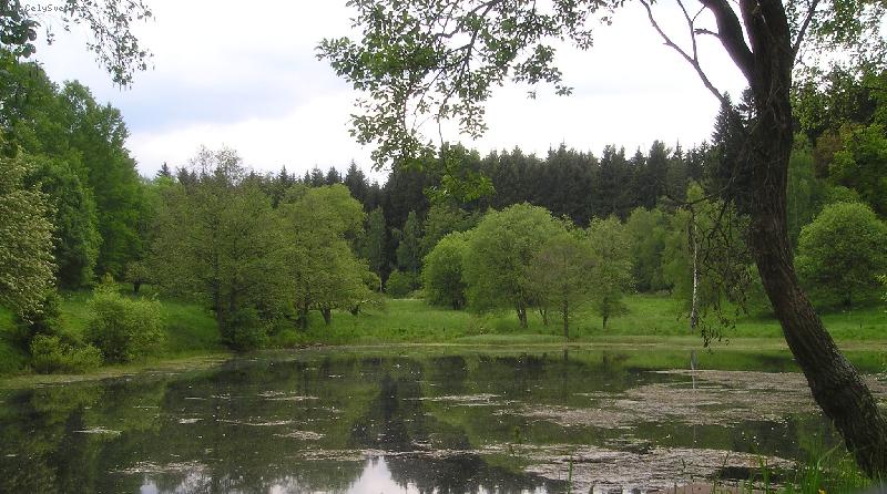 Foto: Severn� �echy