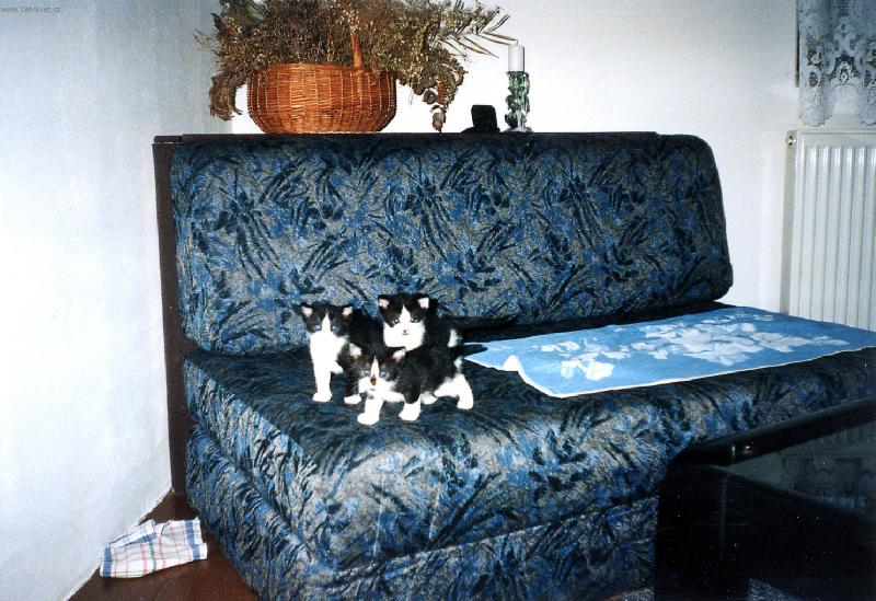 Foto: M�me troj�ata