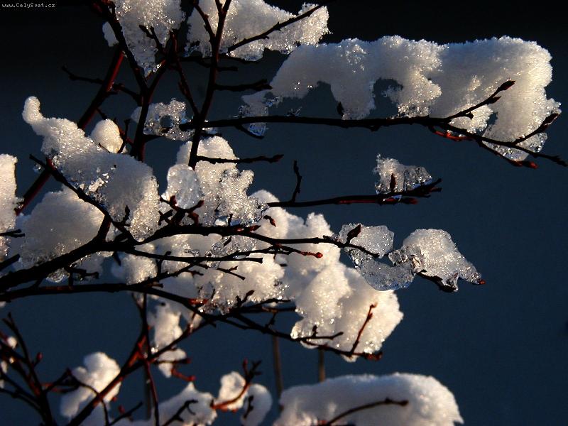 Foto: jisk��-jisk�� zmrzl� kapky