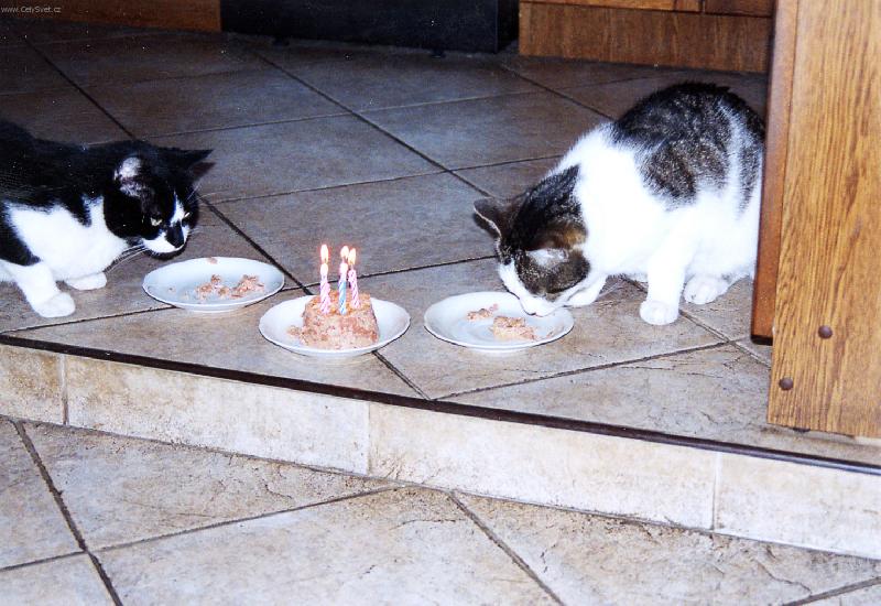 Foto: V�echno nejlep��