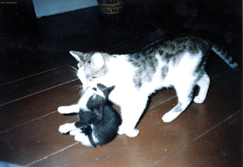 Foto: To je ta vyvolen�