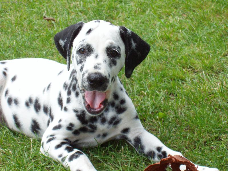 Foto: Mal� Dorinka