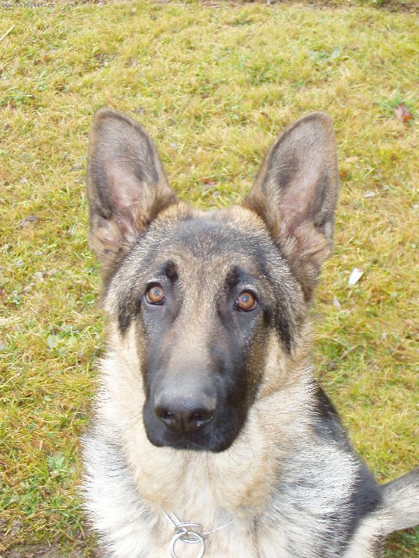 Foto: Jasko-Kone�n� mi stoj� ob� ou�ka...