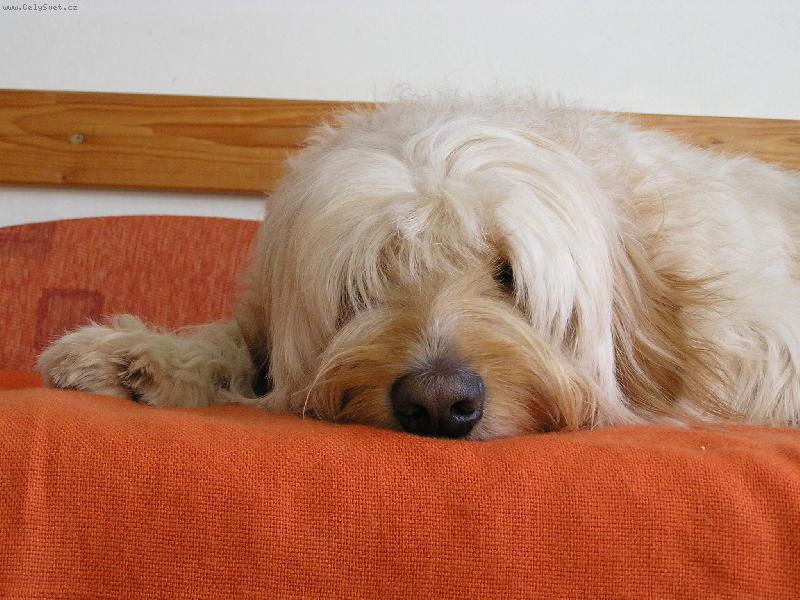 Foto: . . . . p�em��l�m. . . .-Mat�j��ek