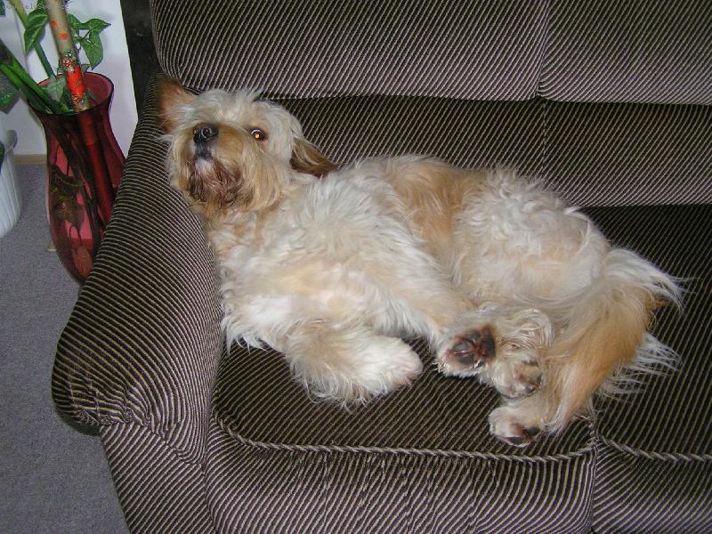 Foto: Pohoda,kl�dek a leh�ro . . .-Mat�j