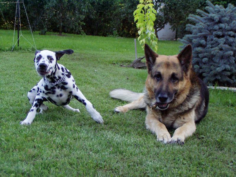 Foto: Malinkej Monty