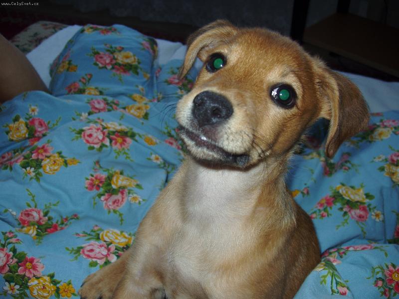 Foto: Art�ek-Dej mi kousek...