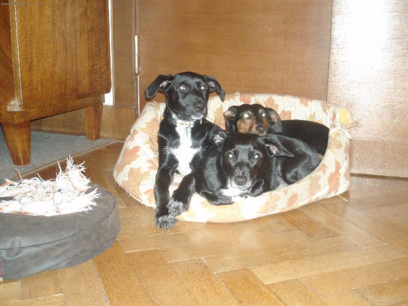 Foto: Na�e holky =)