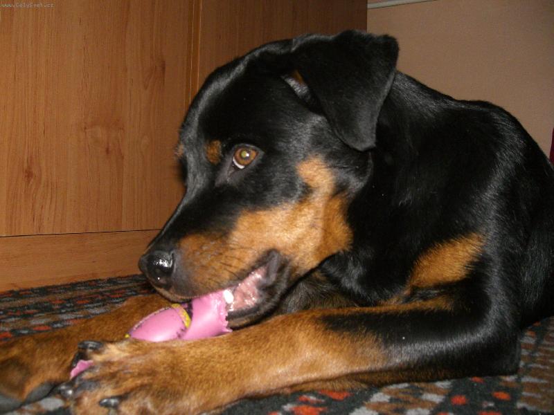 Foto: Ben-...j� tu hra�ku stejn� snim!!