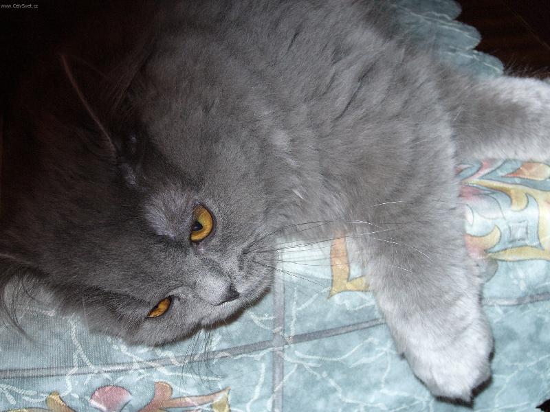 Foto: neru�it-Odpo�inek po dobr�m j�dle