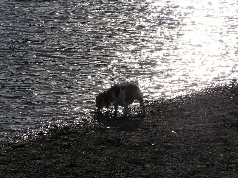 Foto: Tyna-.... to je ale ��ze�