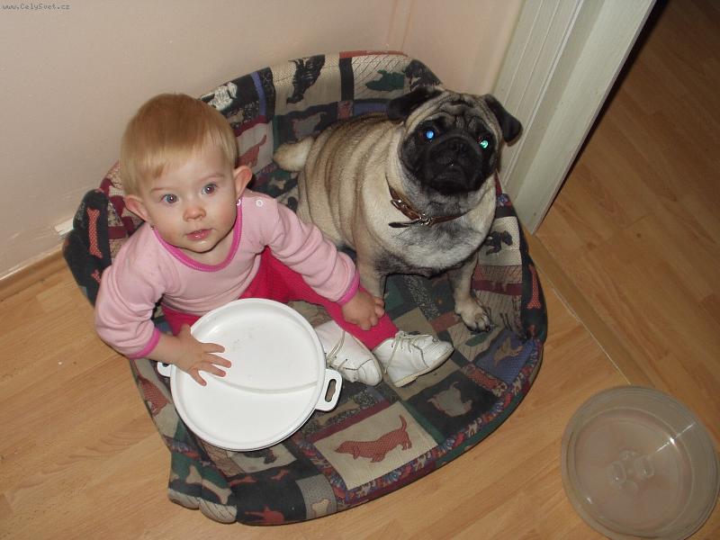 Foto: mil��ci-p��tel�