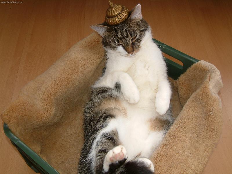 Foto: ned�ln� odpo�inek