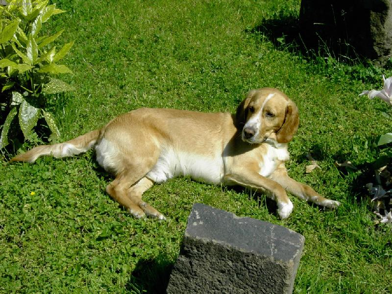 Foto: Na slun��ku