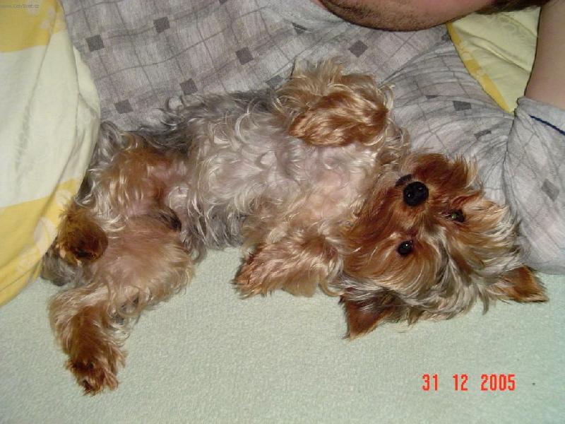 Foto: Bert�k-V post�lce je to nejlep��