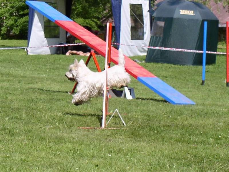 Foto: Ronny sk��e prvn� p�ek�ku-Ronny