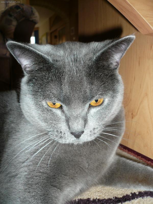 Foto: Tak te� usm�v! Jedno foto na pas.